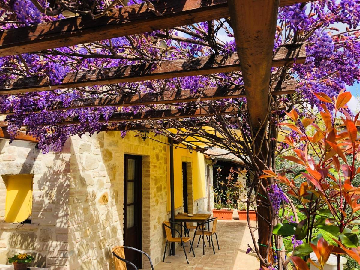 Il Cortile Delle Rose Holiday House Перуджа Экстерьер фото